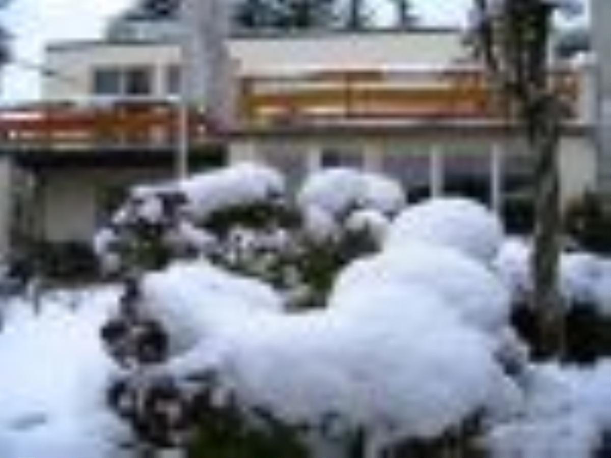 Pension Puschmann Хемниц Экстерьер фото